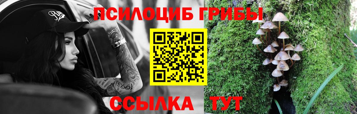Сокол  Галлюциногенные грибы Magic Shrooms  Вход с VPN 